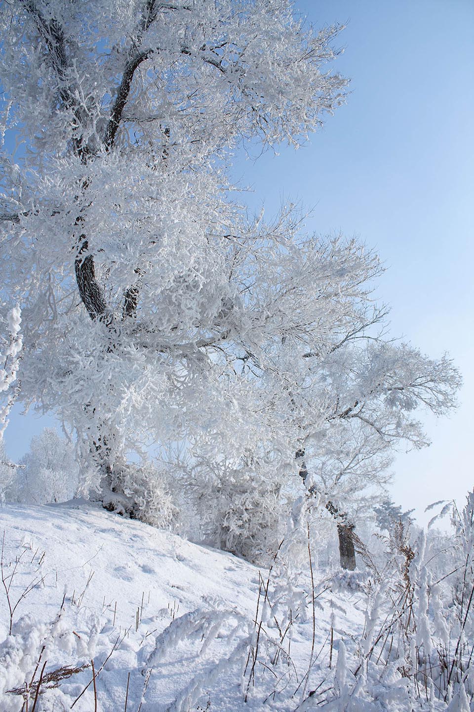 冰雪图片SR (10)