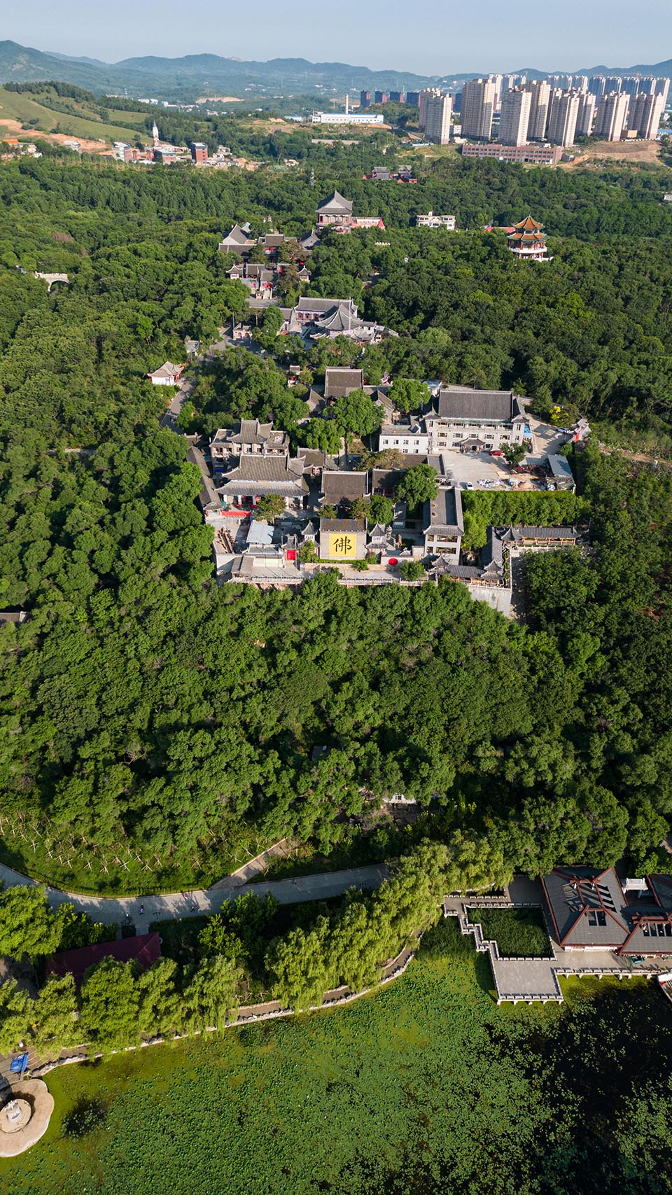 城市图片SR (238)