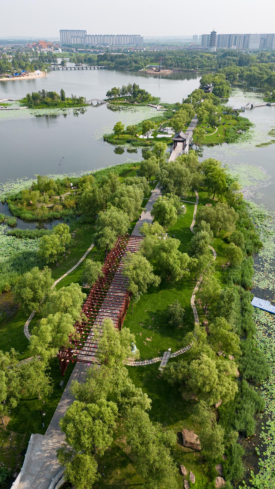 城市图片SR (269)