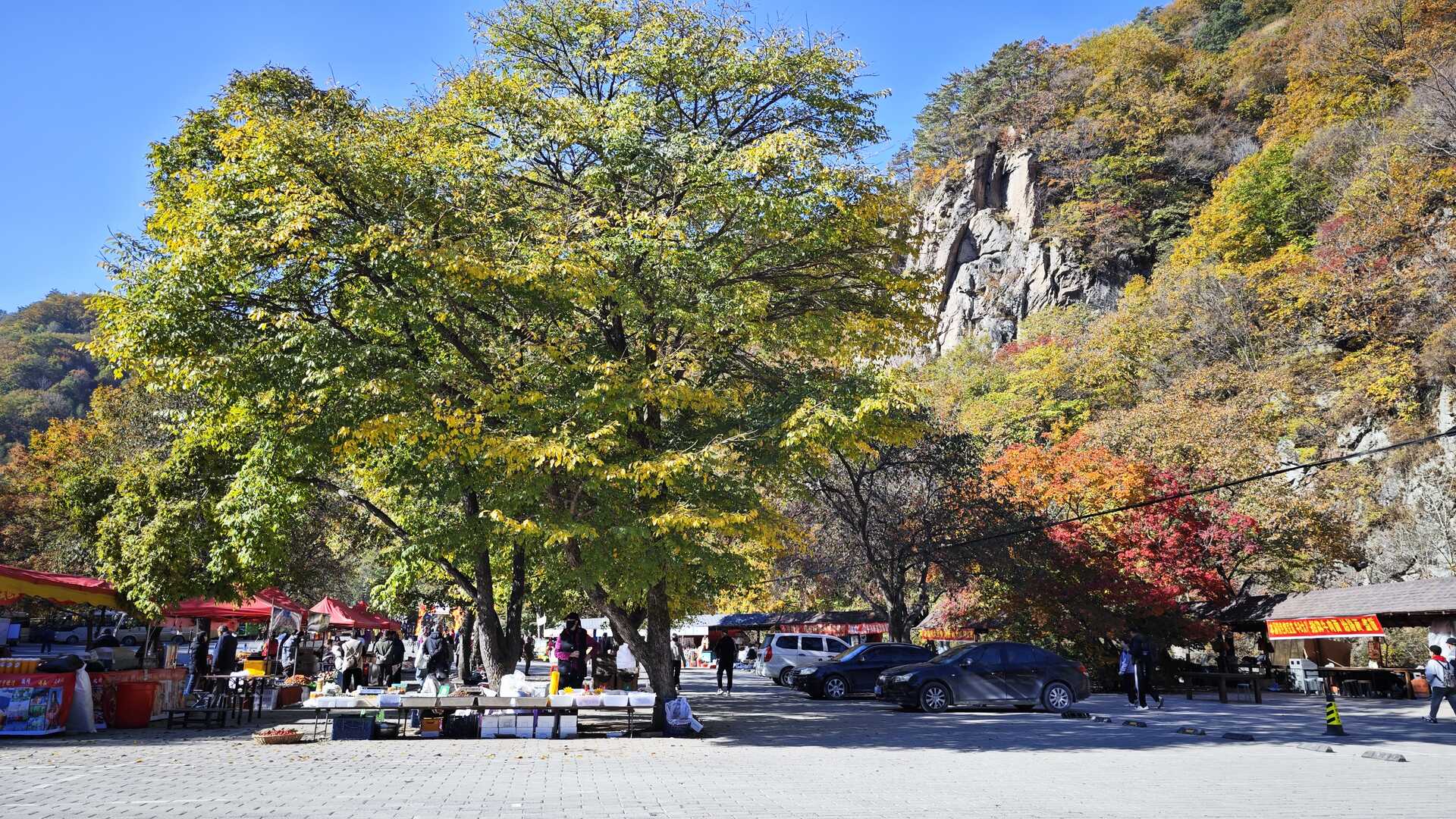 自然景观j  (598)