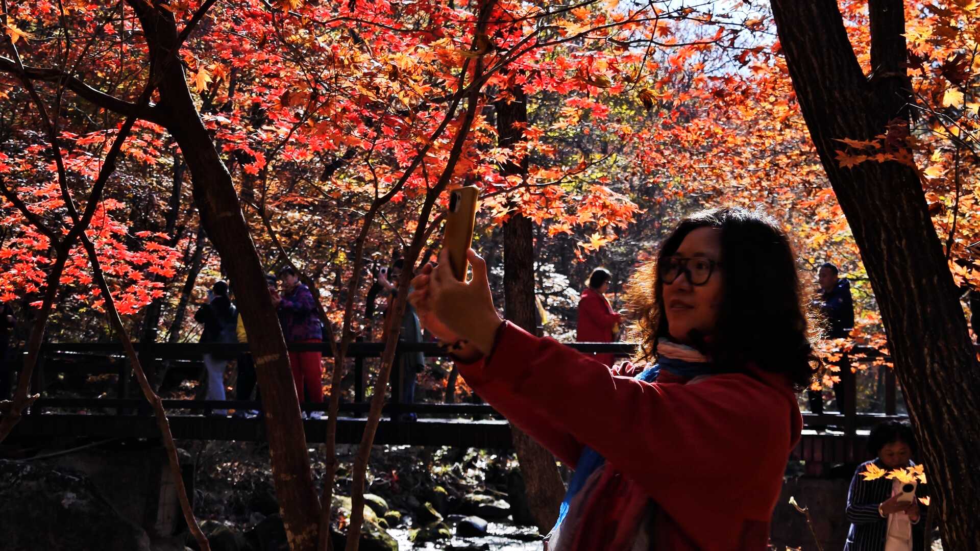 自然景观j  (599)