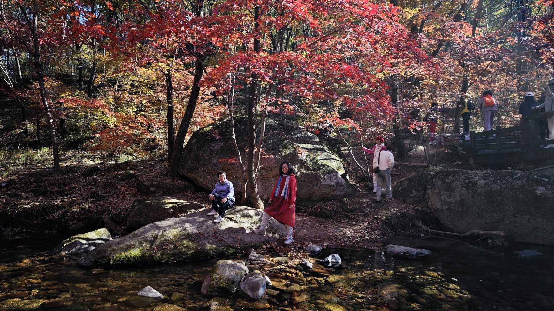 自然景观j  (600)