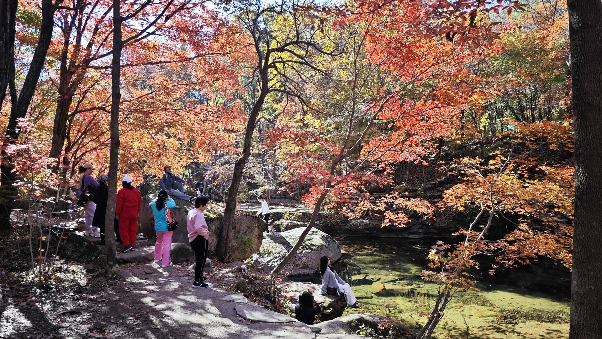 自然景观j  (601)